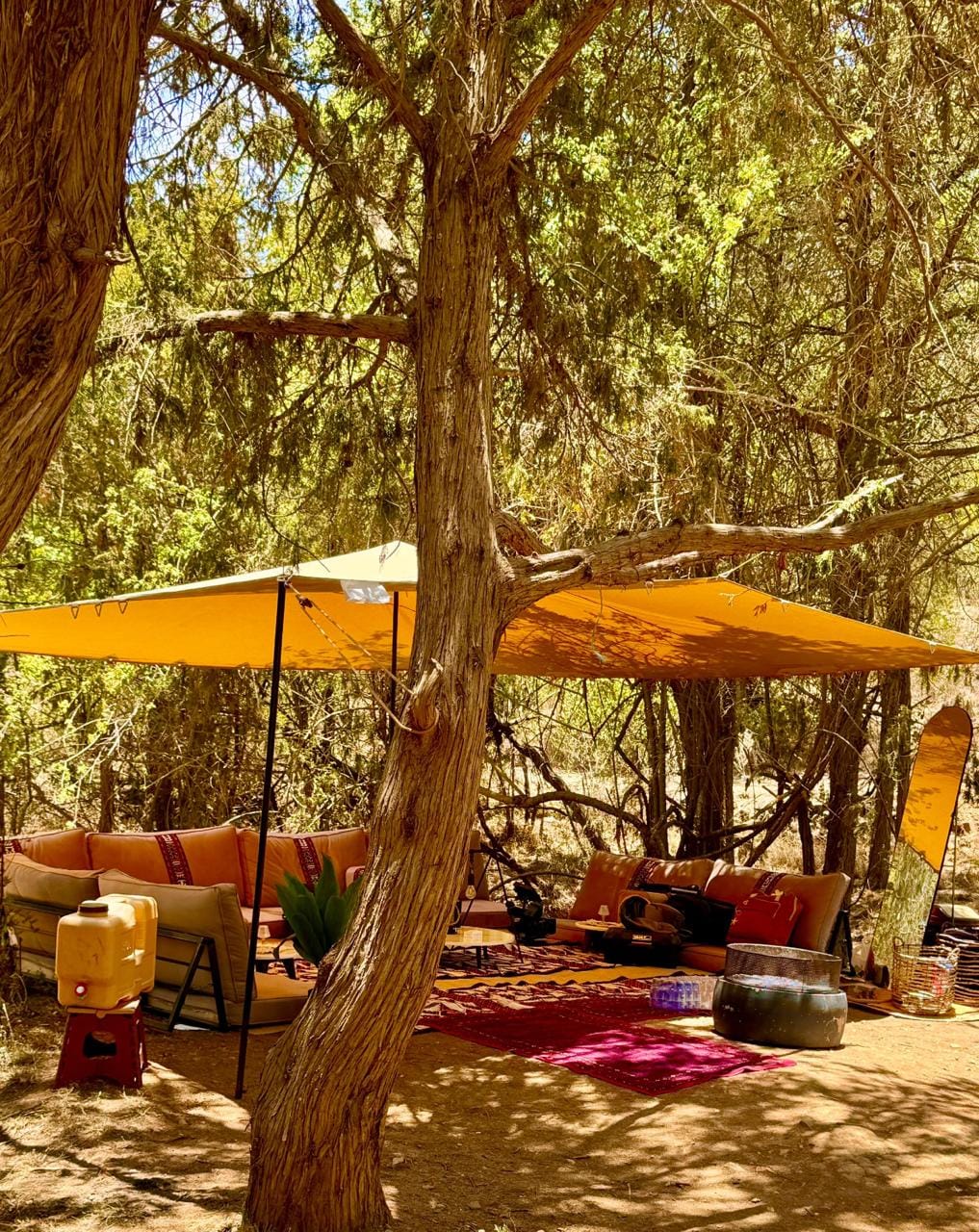 صورة واتساب بتاريخ 1447 03 13 في 02.01.45 0ea5809b