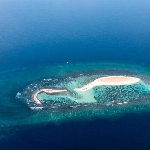 من قمم عسير الى جزر عسير