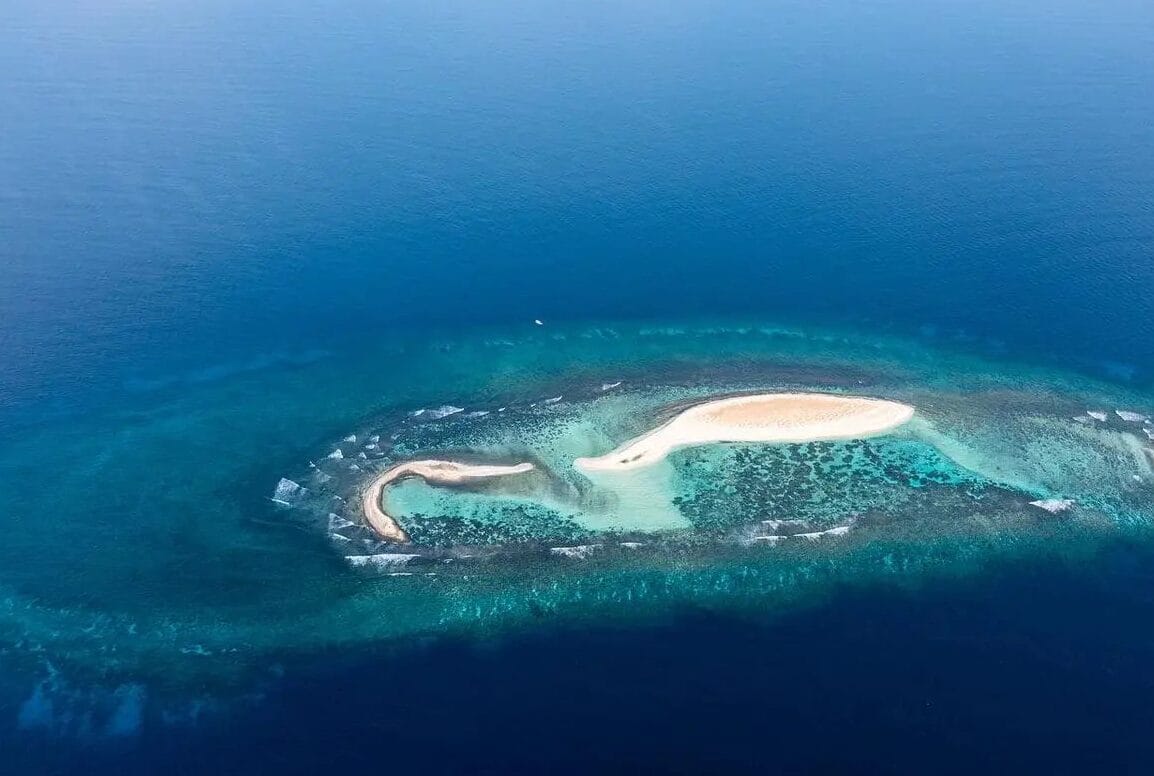 الرئيسية 4 WhatsApp Image 2026 04 16 at 5.20.09 PM e1776349648604