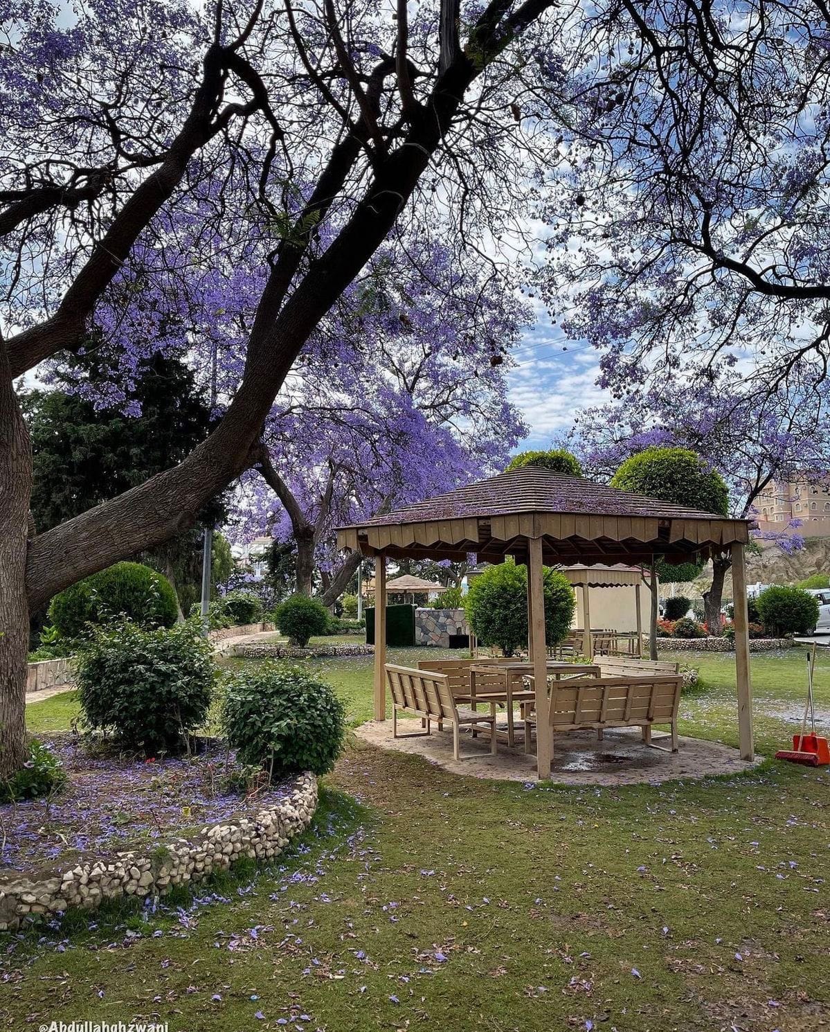 الرئيسية 1 WhatsApp Image 2026 04 16 at 5.32.09 PM