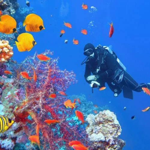 TRY SCUBA الغوص