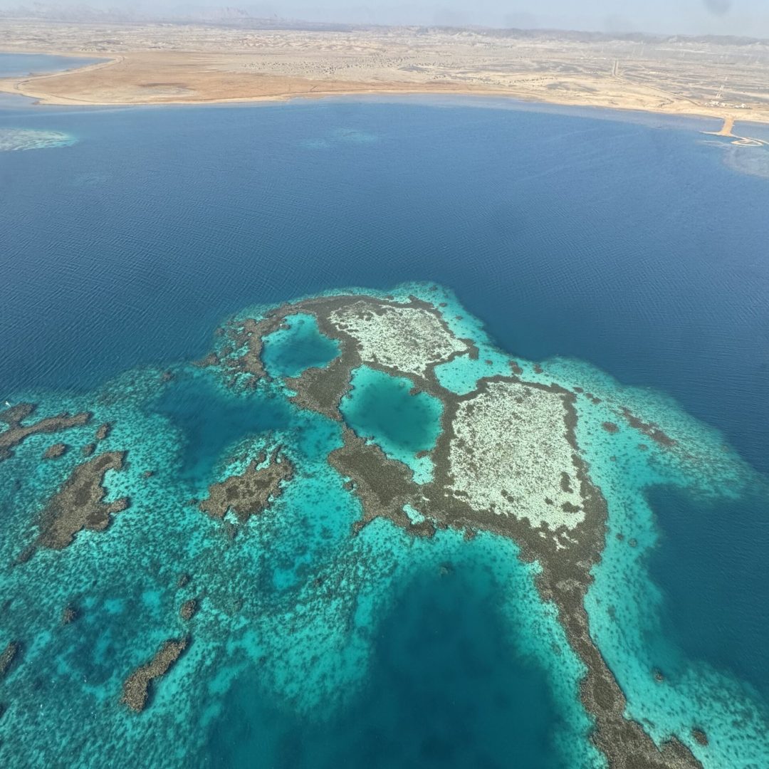 IMG_5577 - Yazeed Aljohani