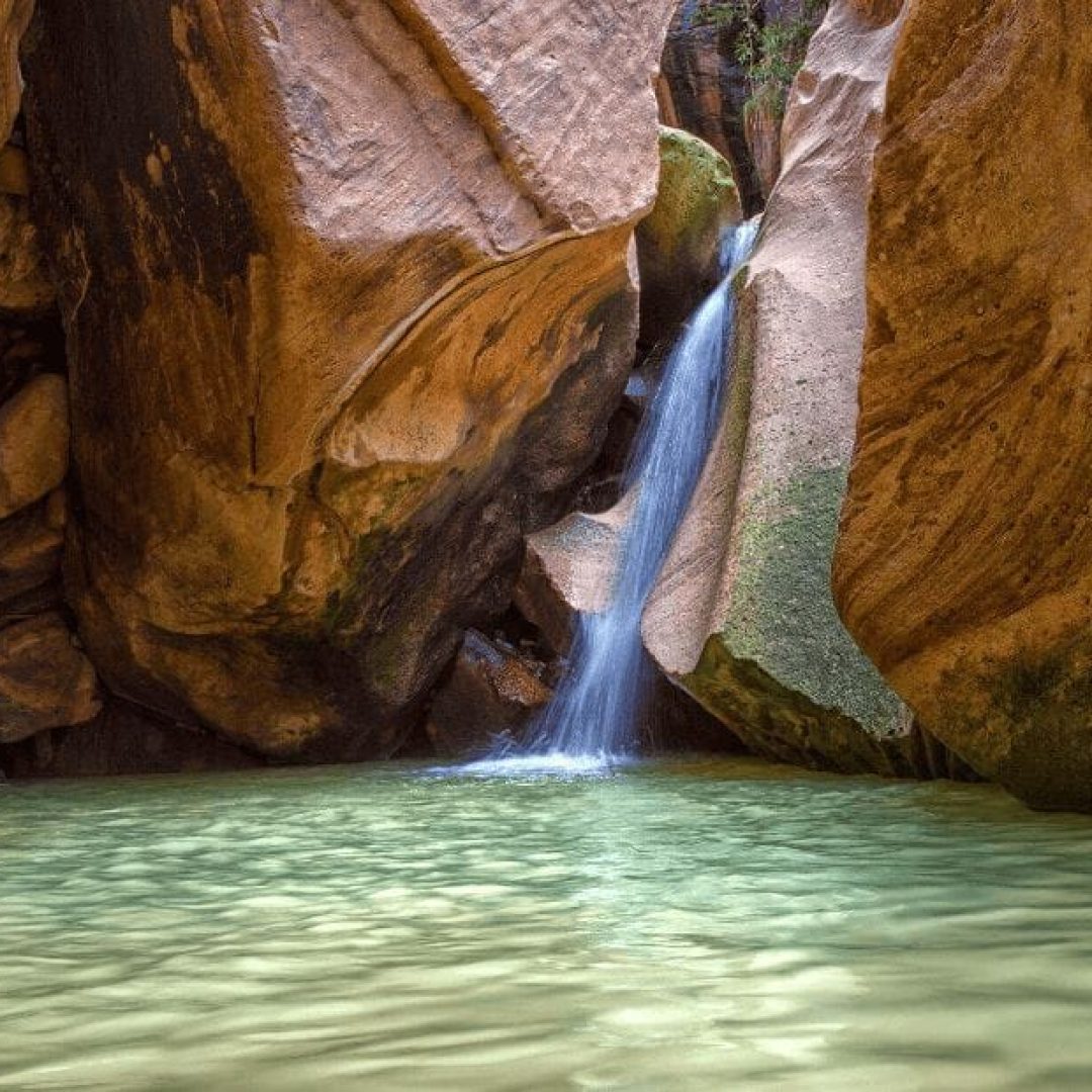 WhatsApp Image 2026-04-04 at 2.53.09 PM