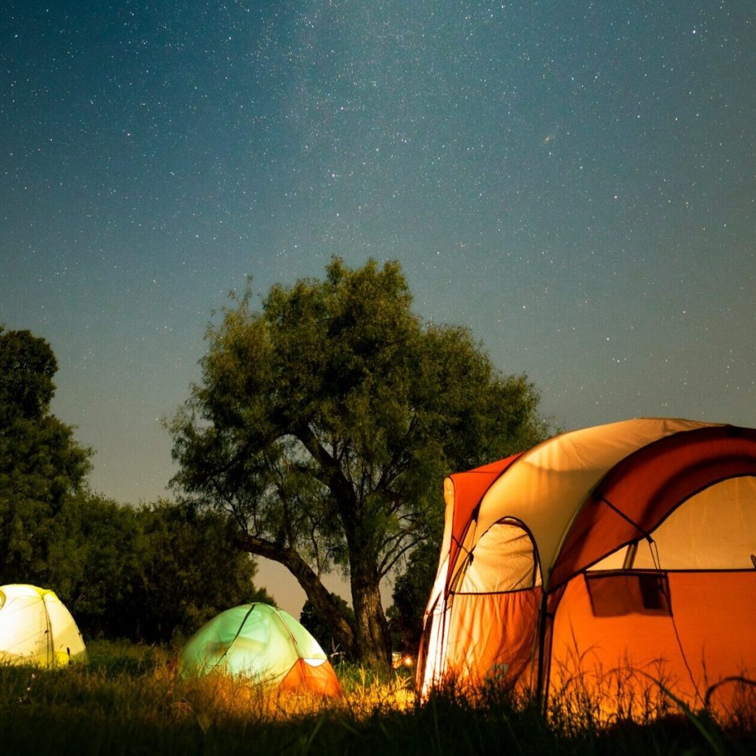 shreyas-sane-4qEVz1mB420-unsplash (1)